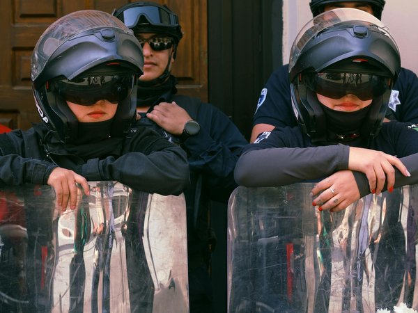 Marché immobilier de Rosemont : découvrez les conseils d'investissement essentiels