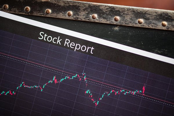 Formation Yann Darwin : analyse et perspectives
